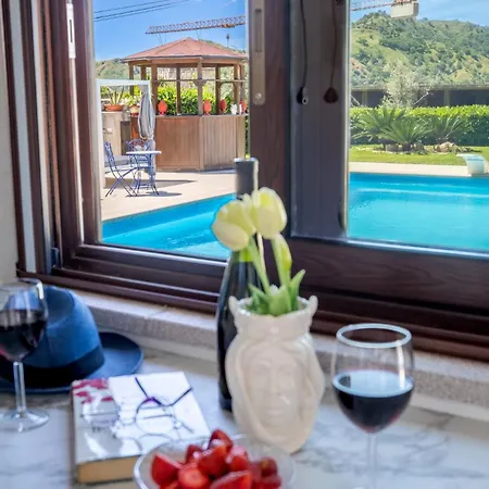 Agave Pool &